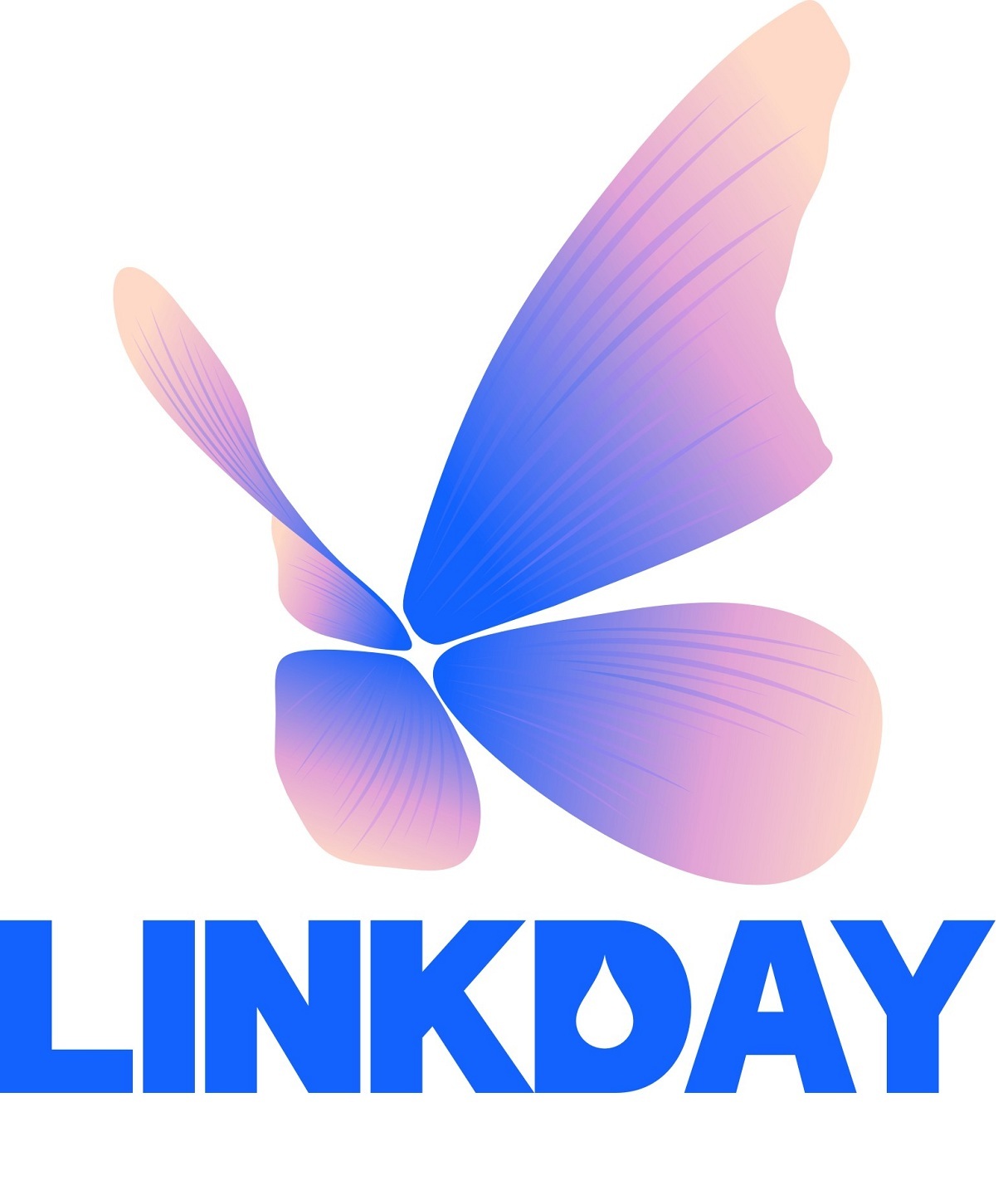 LINKDAY